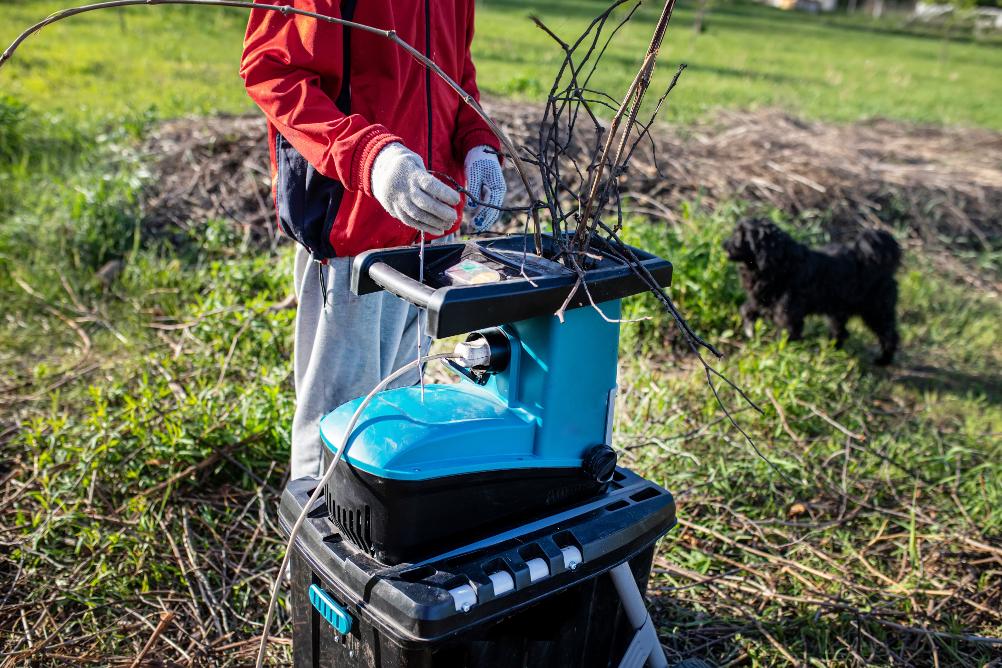 Kako lahko drobilec vej prihrani čas in denar